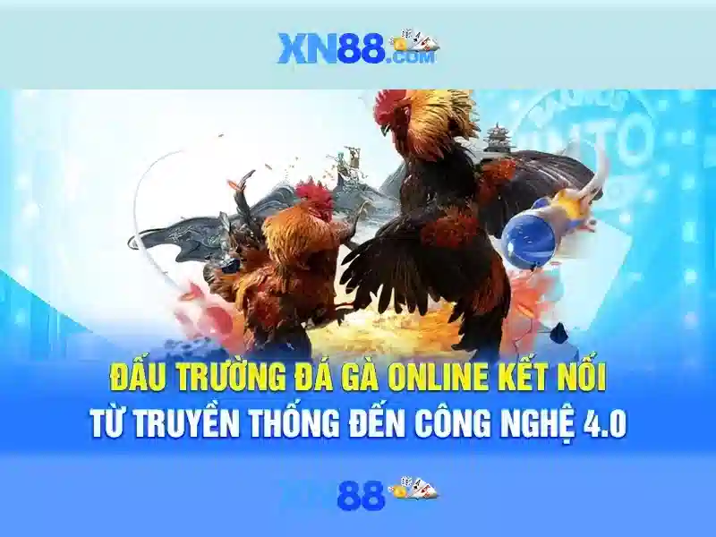 💎nhà cái châu mỹ💎