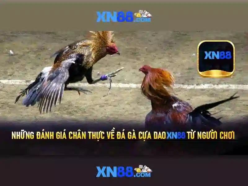 💎nhà cái uy tín 1xbevi.com💎