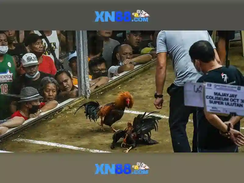 💎888slot 777 casino login💎