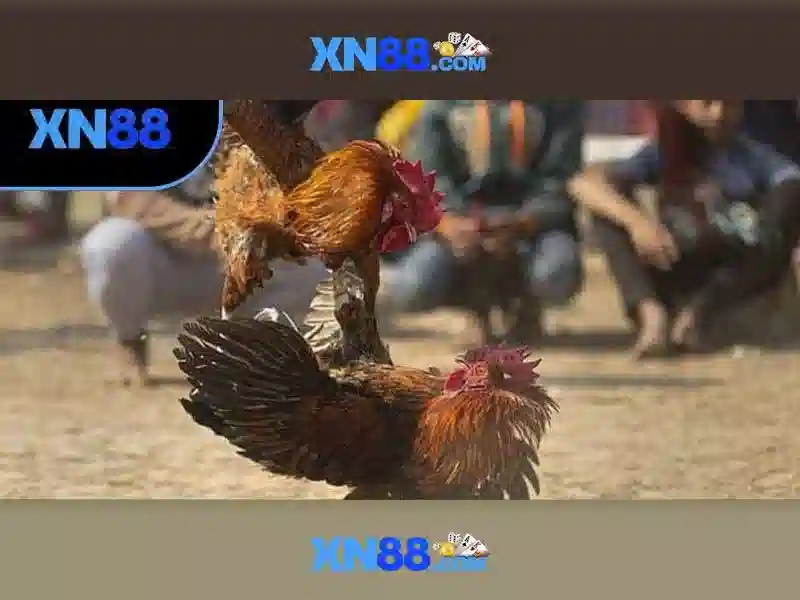 💎888slot casino india💎