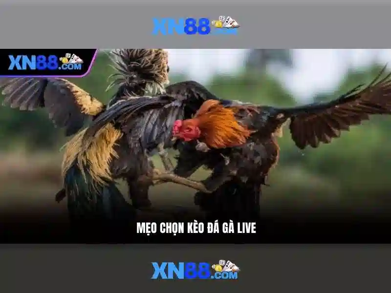 💎tỷ lệ cá cược bóng đá hôm nay kèo nhà cái💎