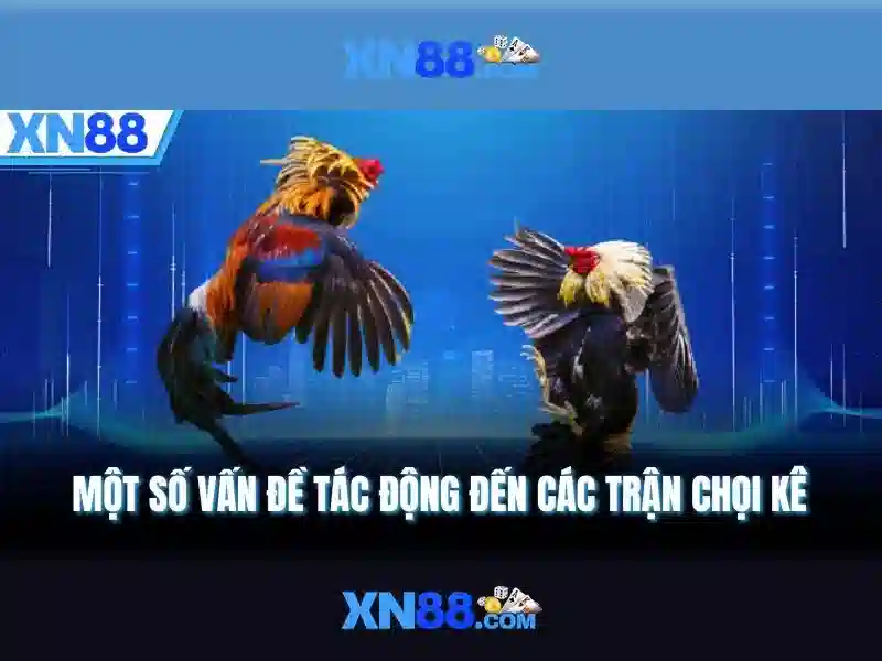 💎888slot sports betting💎