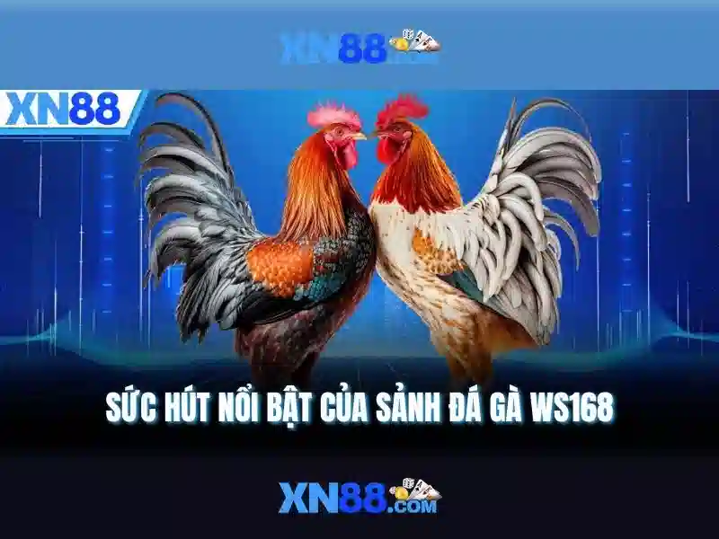 💎66b stgb💎 - 66b-nss - sata 66b/s