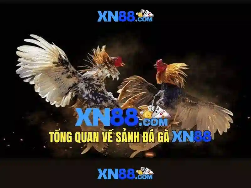 💎xn88 com ph login💎