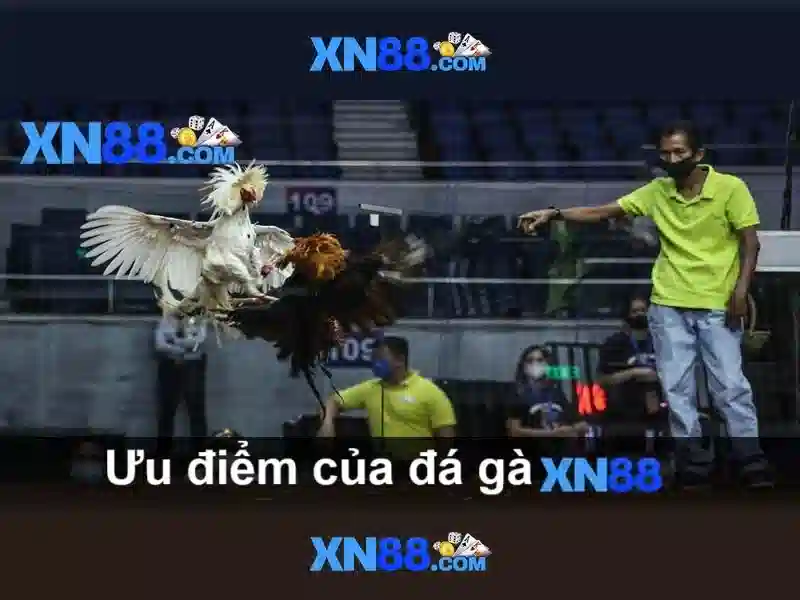 💎143 198 nhà cái uy tín💎