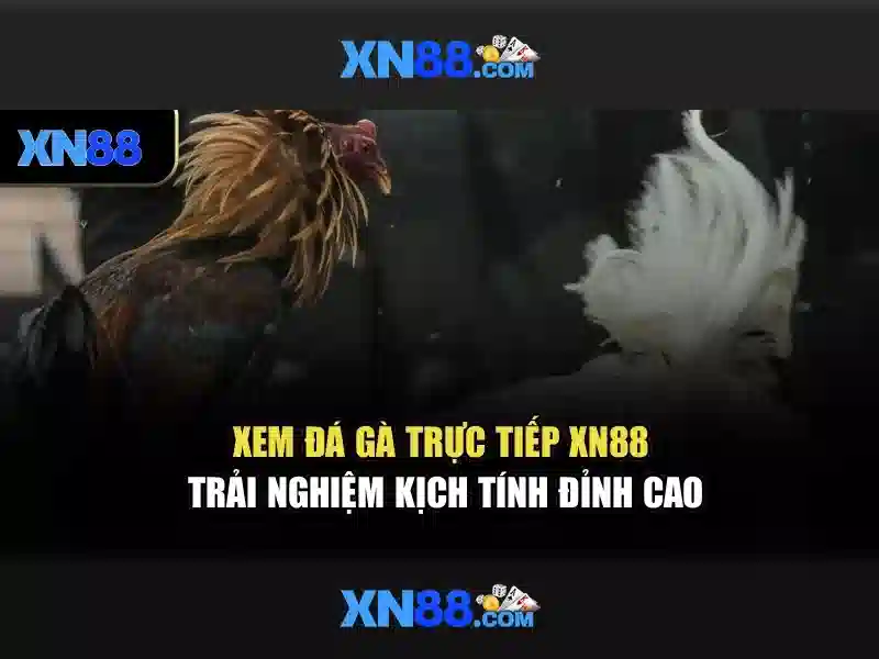 💎play wazdan slots💎