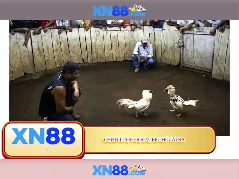 💎nhà cái one888.me💎
