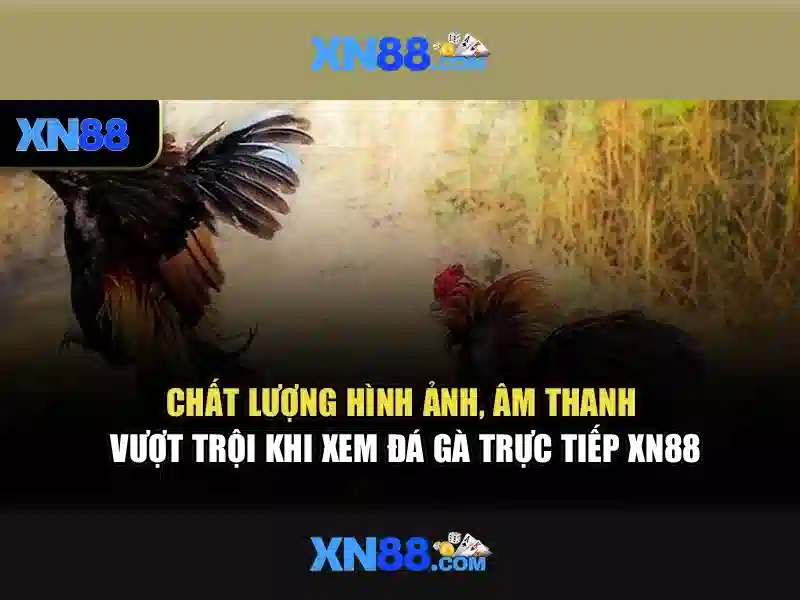 💎888slot code💎
