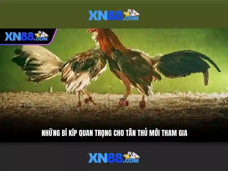 💎66b..com💎 - tài xỉu 66b - 66b trần hưng đạo