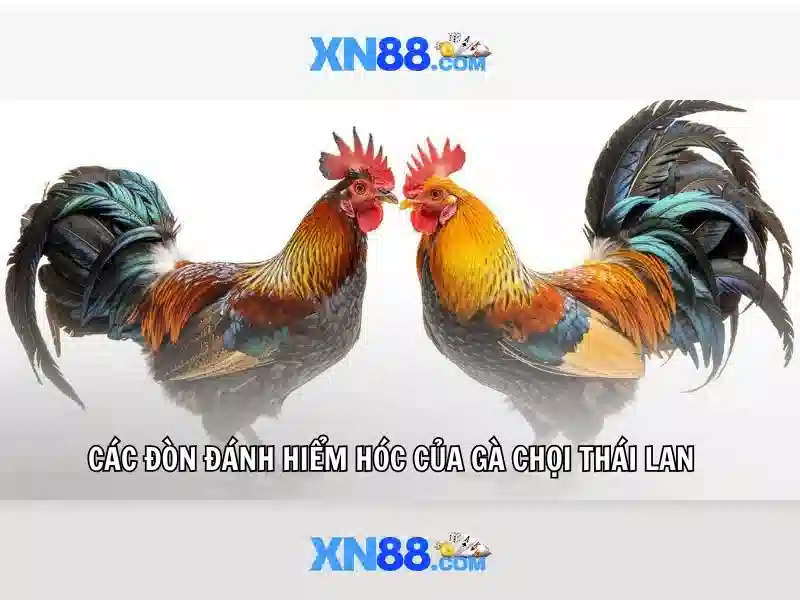 💎party night 888 slot💎