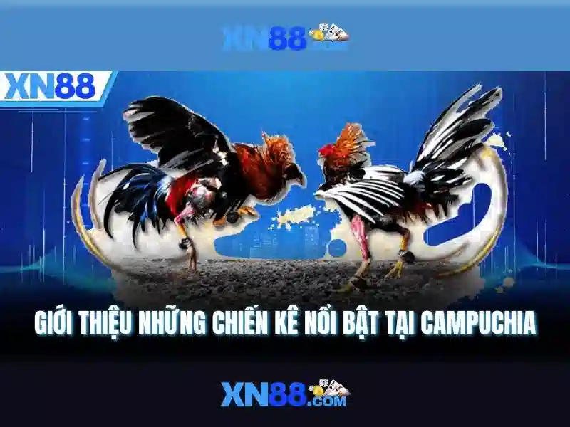 💎63 xn88 ph💎