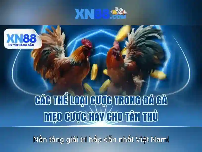 💎đánh bạc trên mạng bị bắt💎