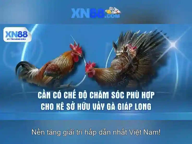 💎bậc thầy sống sót hack💎