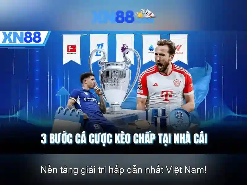 💎cèo nhà cái💎