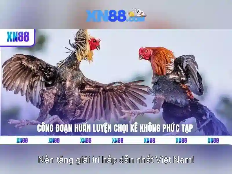 💎trang cá cược bóng đá winchestermas💎