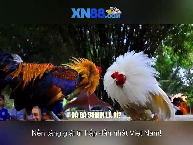 💎live slots online free games💎