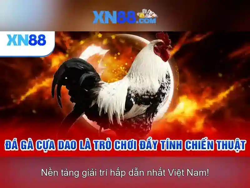 💎nha song tay bac💎