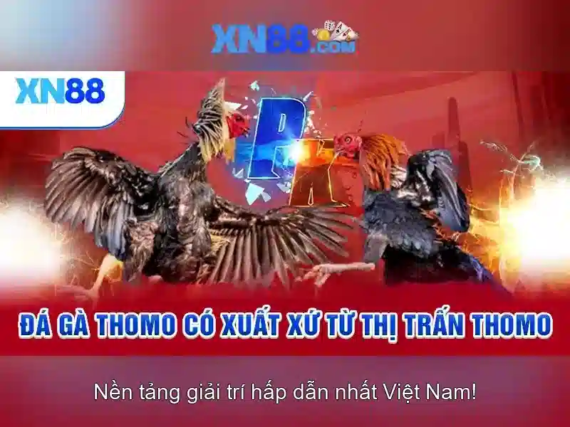 💎xn88 myanmar💎