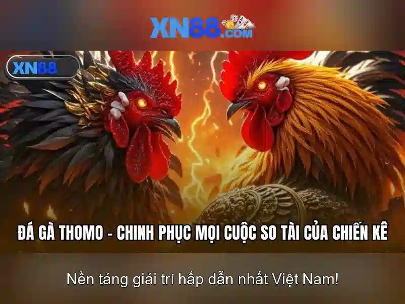 💎những nhà cái uy tín ở việt nam💎