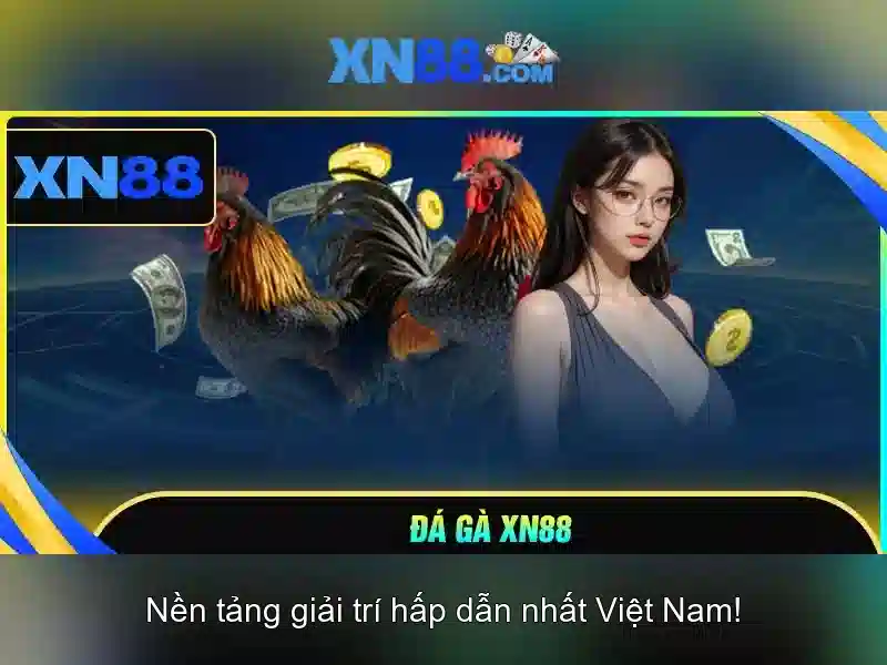 💎vn222 nhà cái💎