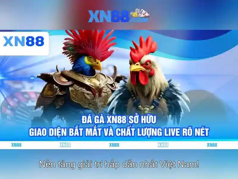 💎tại xn88💎