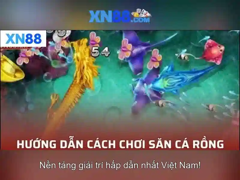 💎trang cá cược uy tín tại abu999.info💎