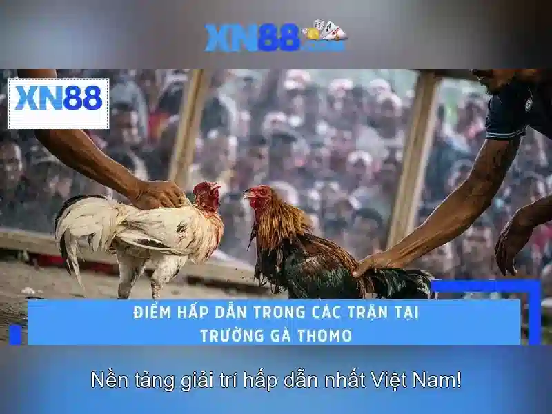 💎nhà cái uy tín số 1.com💎