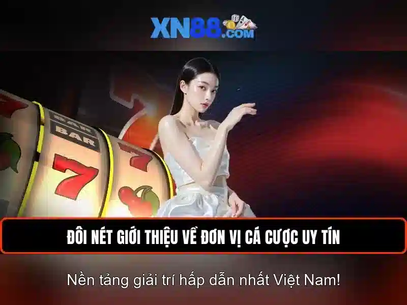 Bảo Mật Thông Tin | XN88 Ứng Dụng Mã Hóa 256-bit Và Chính Sách Không Chia Sẻ Dữ Liệu 2026 - XN88
