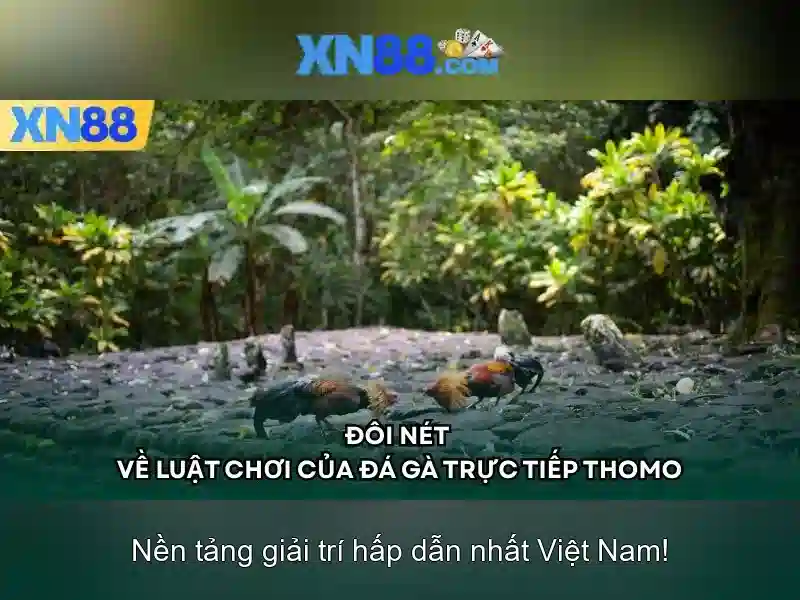 💎keo nha cai trưc tiêp💎