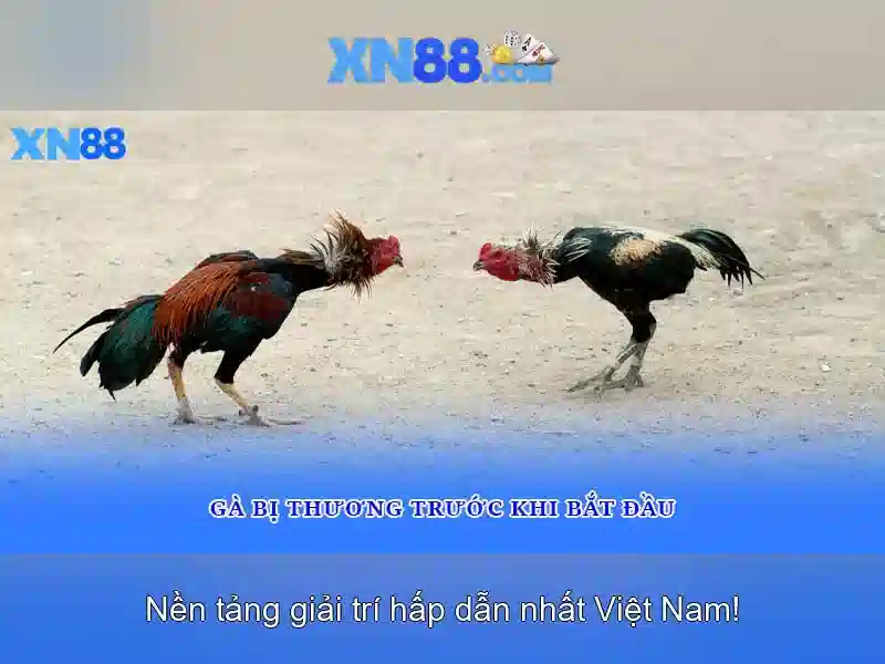 💎nha cái hb88💎
