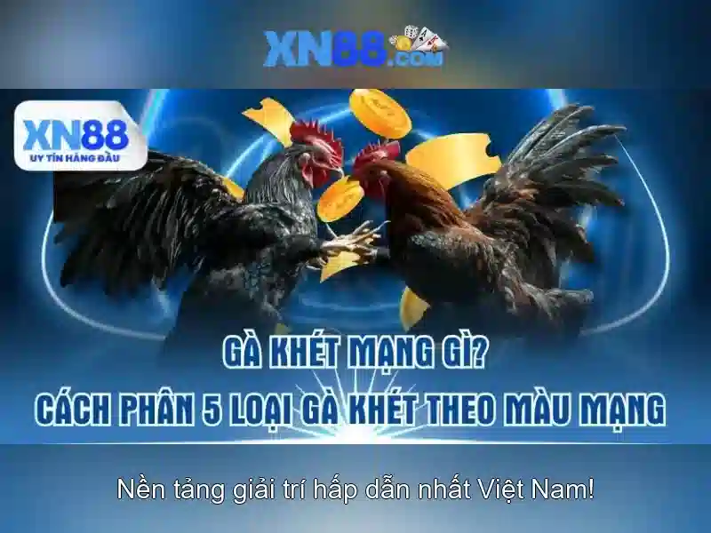 💎cewek slot png💎