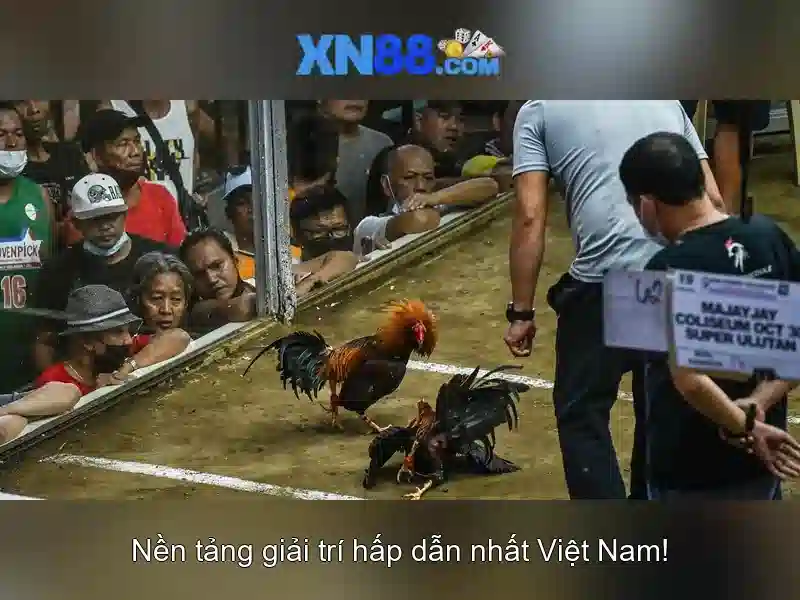 💎keo nha cai 3.net💎