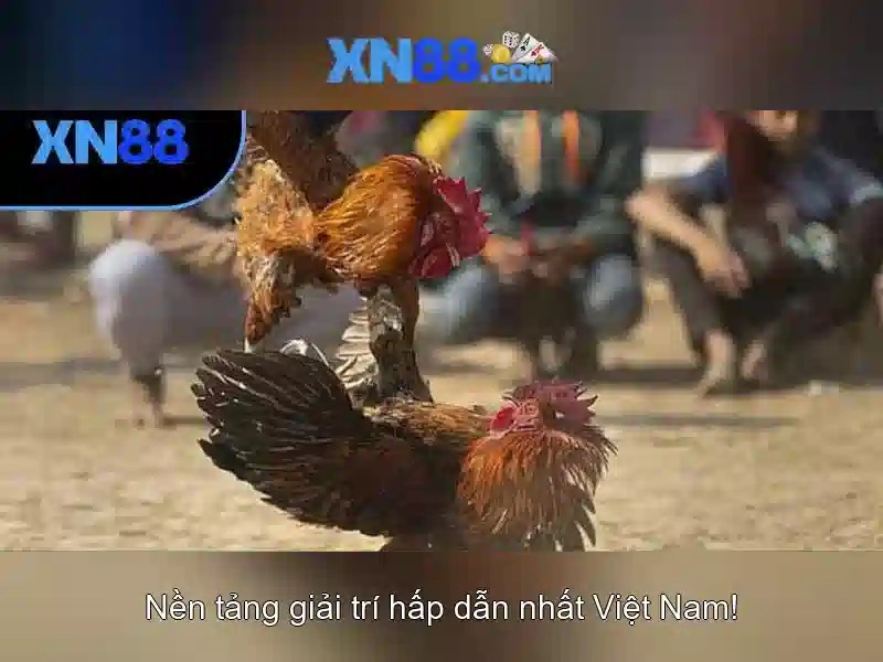 💎nohu90 nhà cái nohu90 com.vip💎