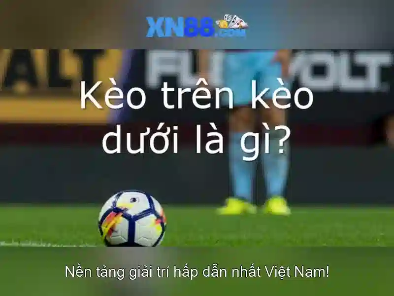 💎nhà xe nhật hồng móng cái💎