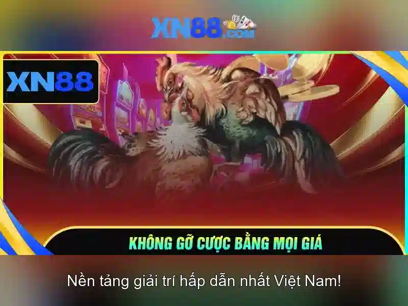 💎tỷ lệ cá cược bóng đá hôm nay live💎