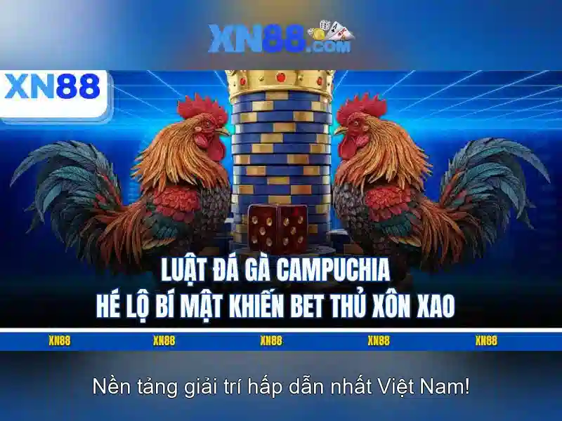 💎cá cược bóng đá đổi thưởng💎