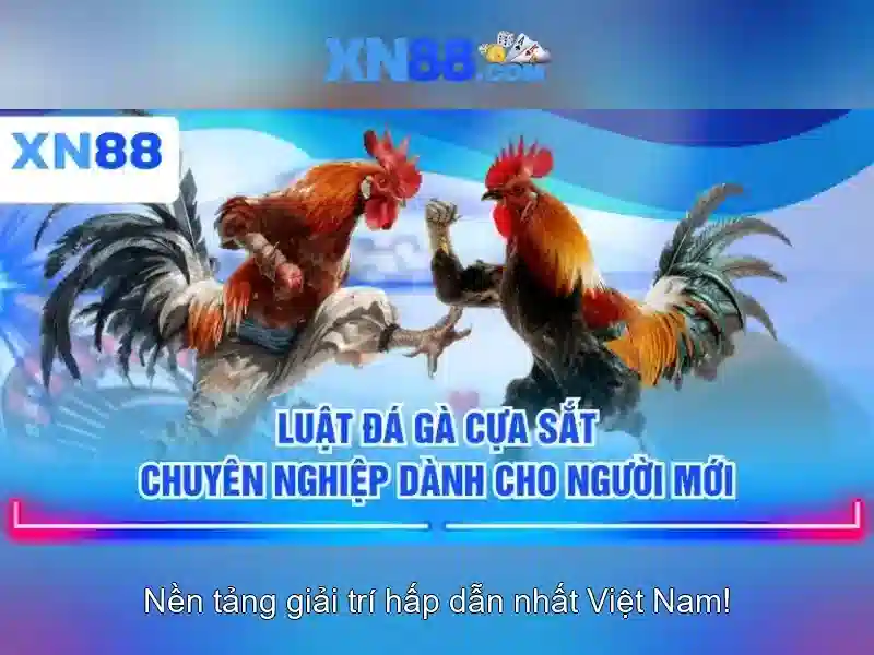 💎nhà cái ae388 live💎