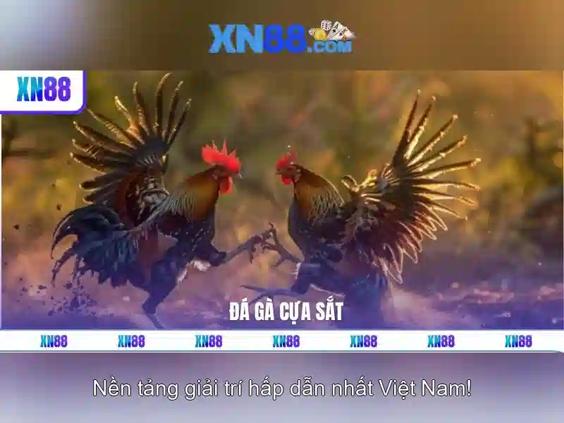 💎casino 888slot hà nội💎