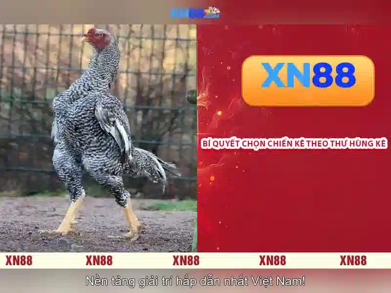 💎slot365 login💎 - link dự phòng Slot365 - heylink slot365 login