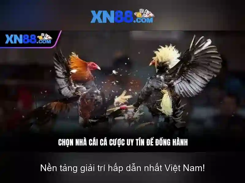 💎đánh giá về bác sĩ trại giam💎