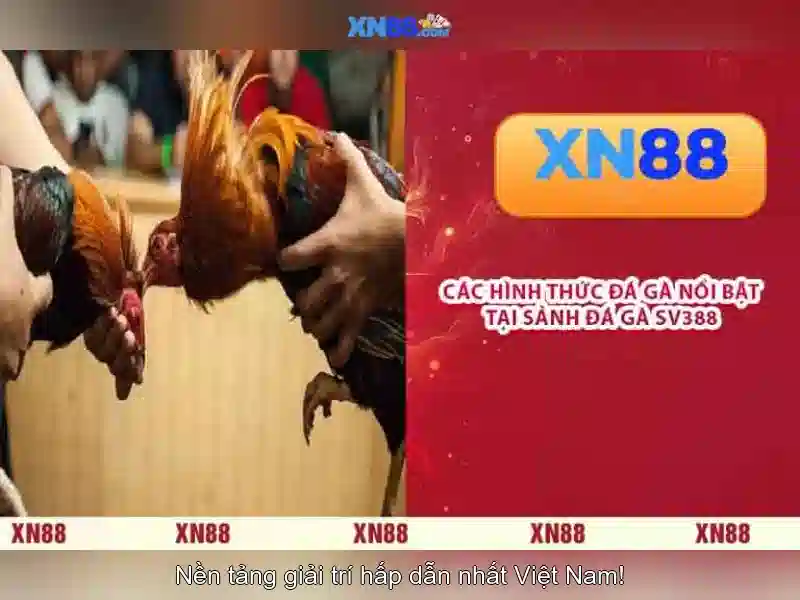 💎những kèo cá cược với người yêu💎