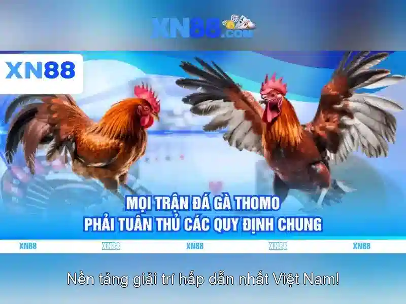💎cuoc thi cau ca ngu o my💎