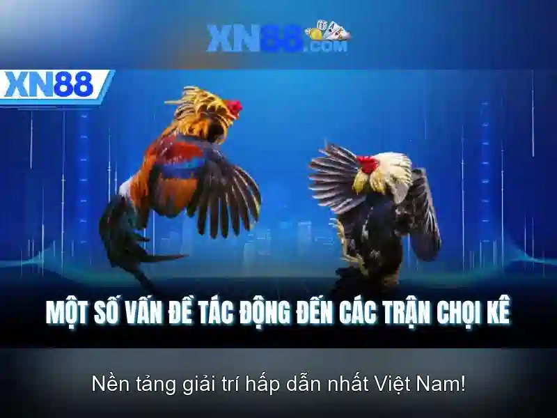 💎tỷ lệ nhà cái keotop💎