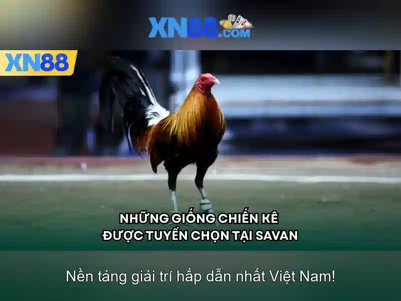 💎sparkling roses slot💎