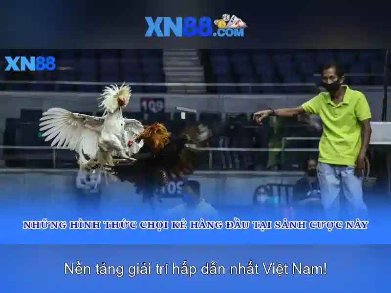 💎bánh mì chay 66b trần hưng đạo💎 - tiến lên 66b - 66b games