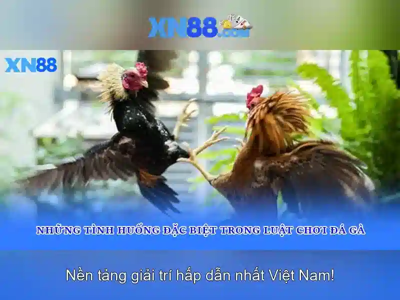 💎nhà cái uy tín 51 216💎