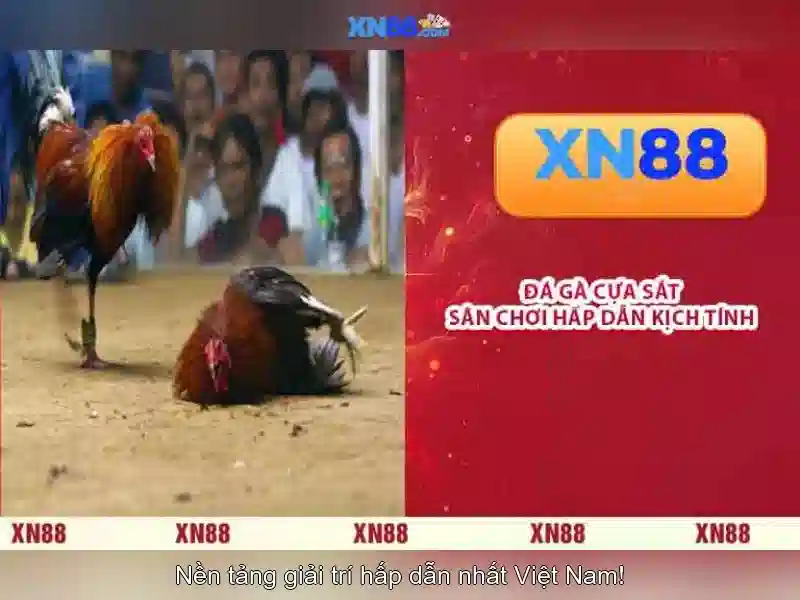 💎van dijk hb88 slot💎