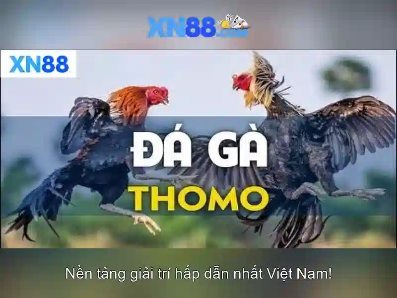 💎888slot blog.com💎