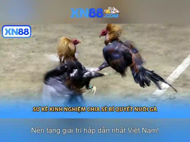 💎nhà cái 009 bet💎