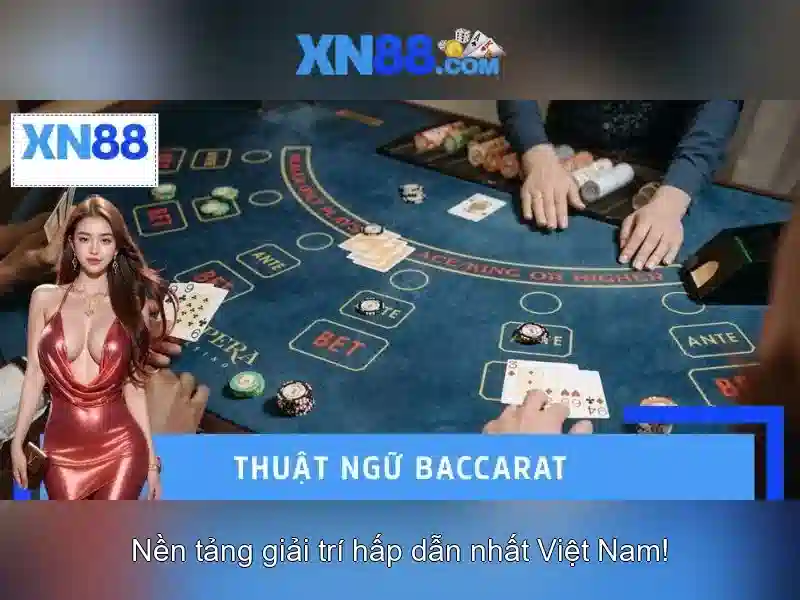 💎66b nguyễn sỹ sách, p15, quận tân bình💎 - xóc đĩa 66b - 66b nguyễn sỹ sách tân bình